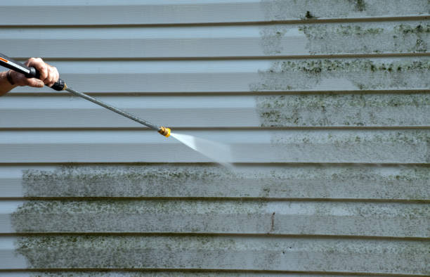 Professional Pressure Washing Services in Elfers, FL