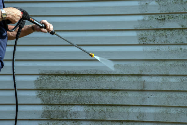 Animal Enclosure Cleaning in Elfers, FL
